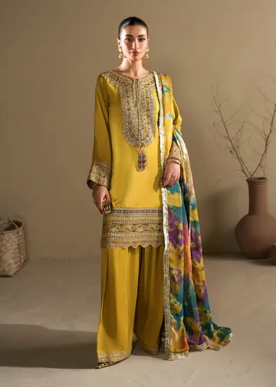 Abeer Raw Silk Edit '26 (by Zarqun)