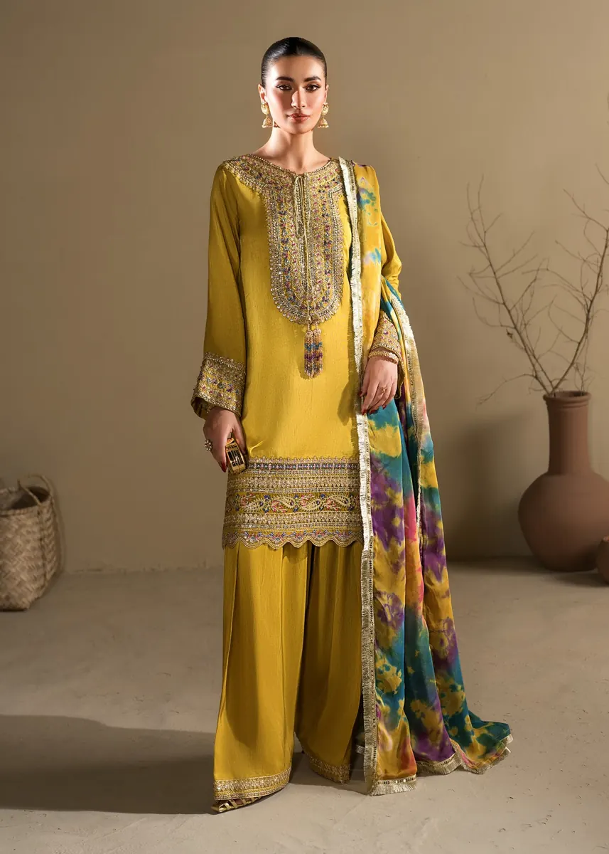 Abeer ARTICLE-2619 A