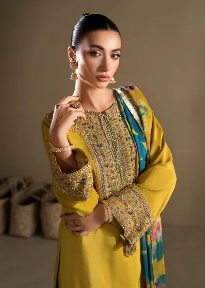 Abeer ARTICLE-2619 A view 2